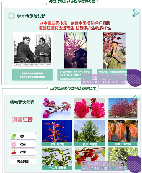 1718677003792409.jpg 未标题-1cc.jpg